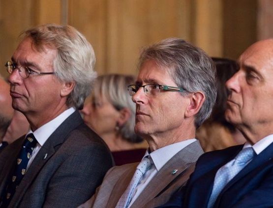 Raad van Toezicht, Bestuur en Adviesraden