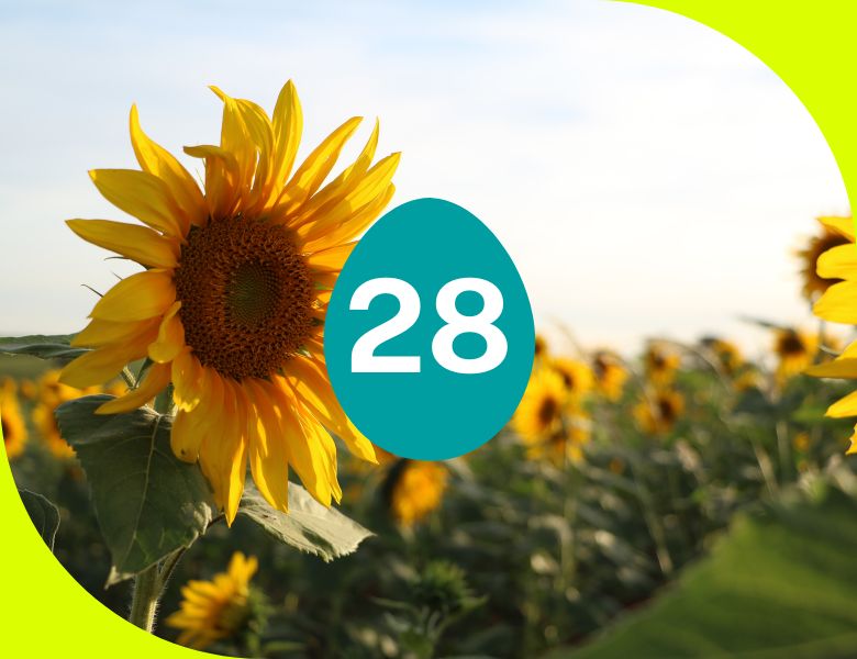 Frühstücksei #28: Endlich Sommerferien!