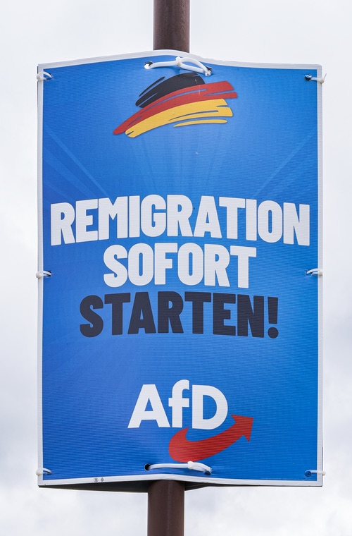 Veiligheidsdienst: AfD bewezen extreemrechts