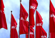 Vlaggen van Die Linke. Foto www.linke.de